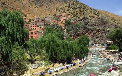 ONE DAY EXCURSION TO THE OURIKA VALLEY